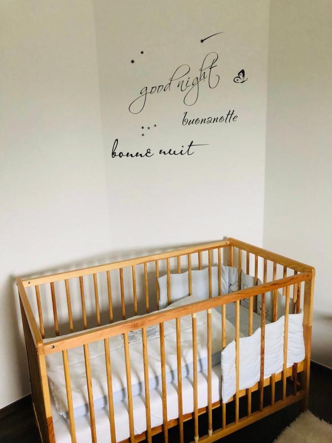 Apartament Steiner *