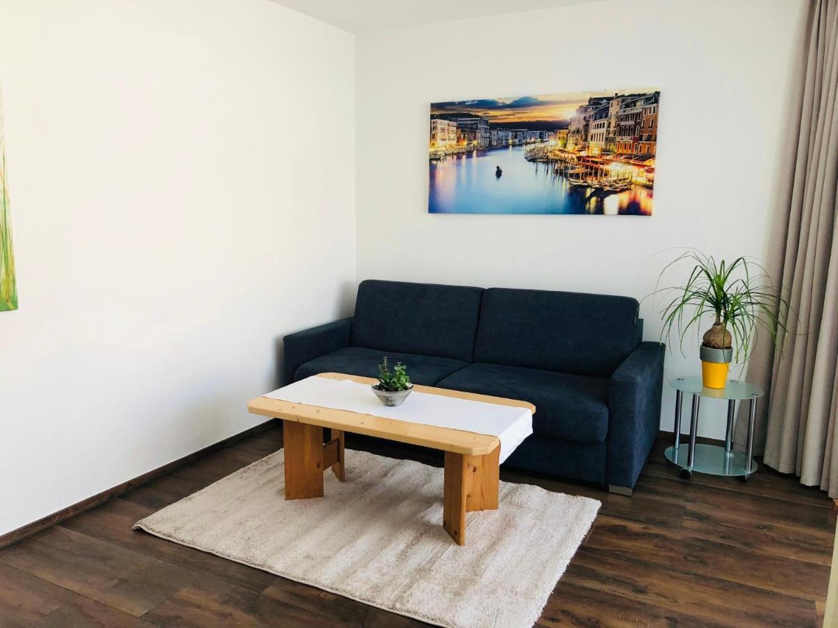 Steiner Apartament